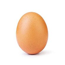 The Wiki Podcast - Instagram Egg